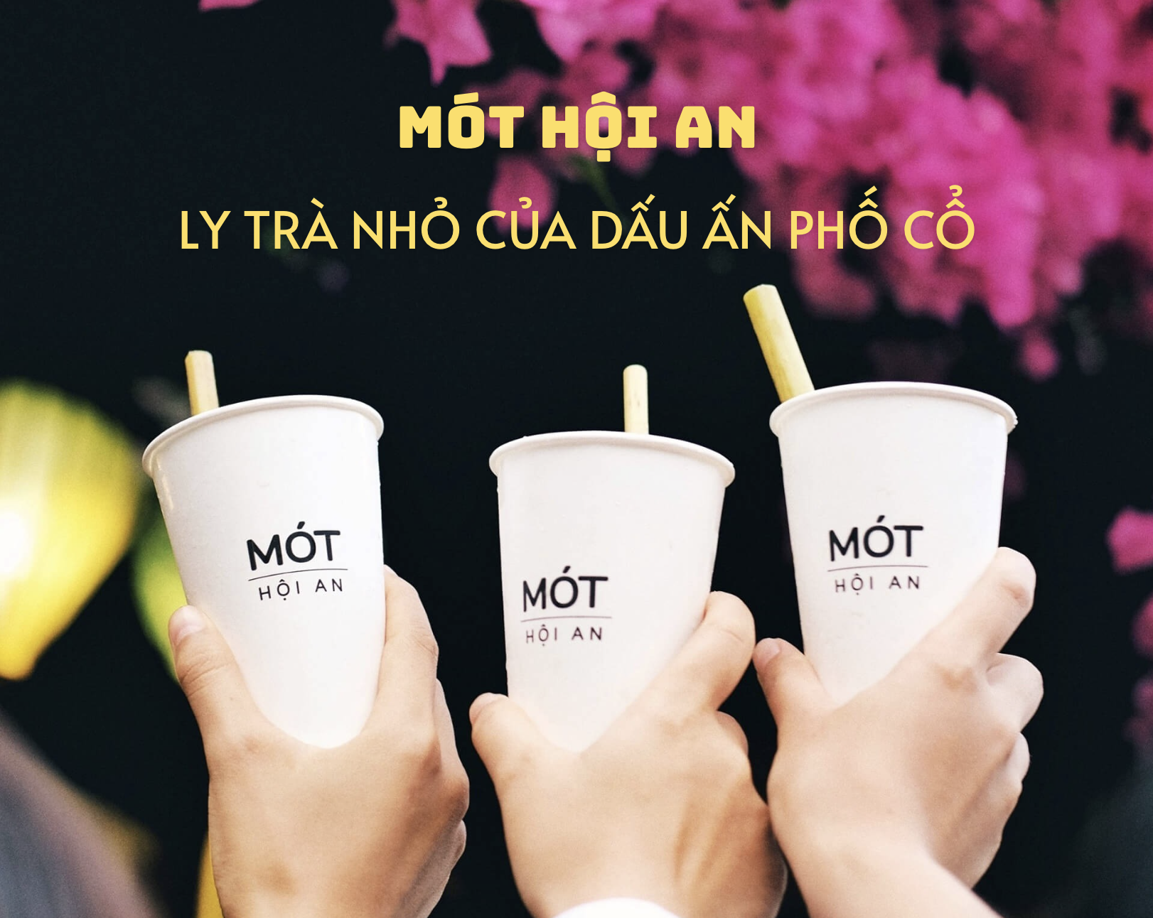 Mót Hội An – Từ Ly Trà Thảo Mộc Đến Biểu Tượng Du Lịch