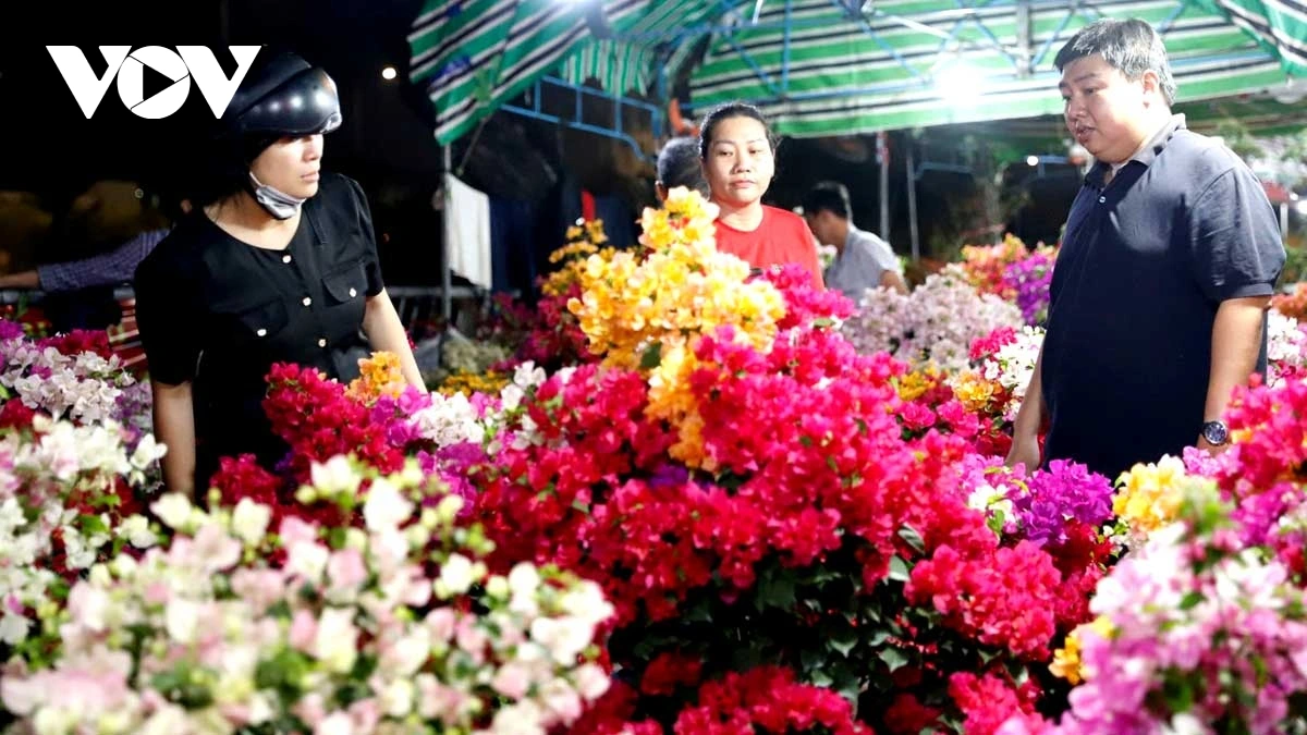 Sống lại Tết xưa, tự tay gói bánh tét ở Chợ hoa Bình Đông 2026