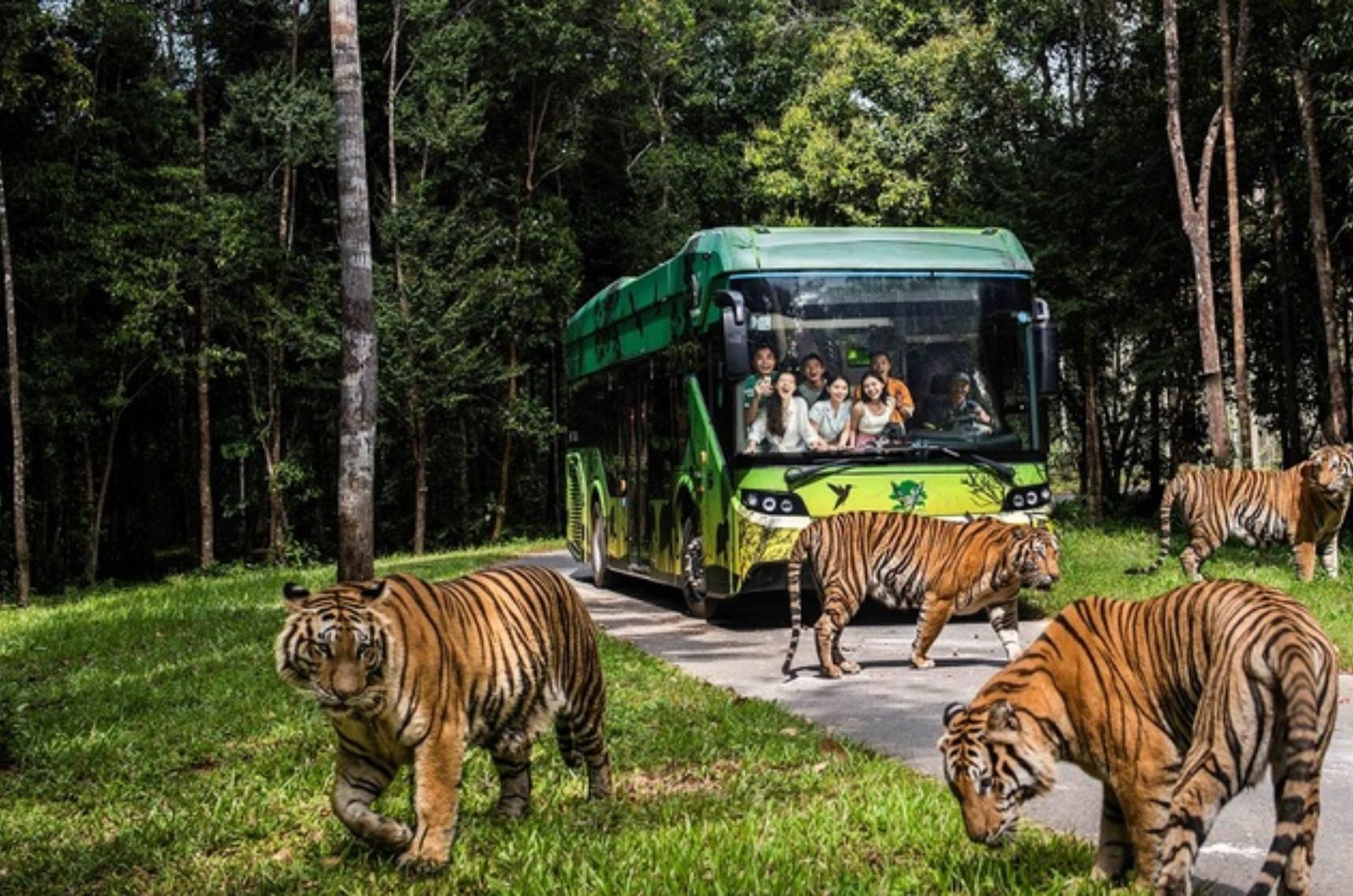 Vinpearl Safari Phú Quốc