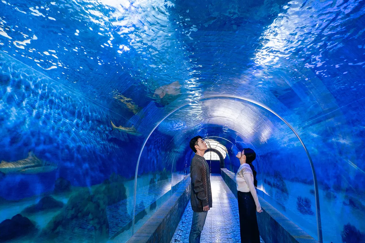 Du khách chụp ảnh check in tại viện Hải Dương Học Nha Trang